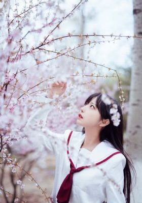 蜜桃精品在线观看视频_超清免费观看